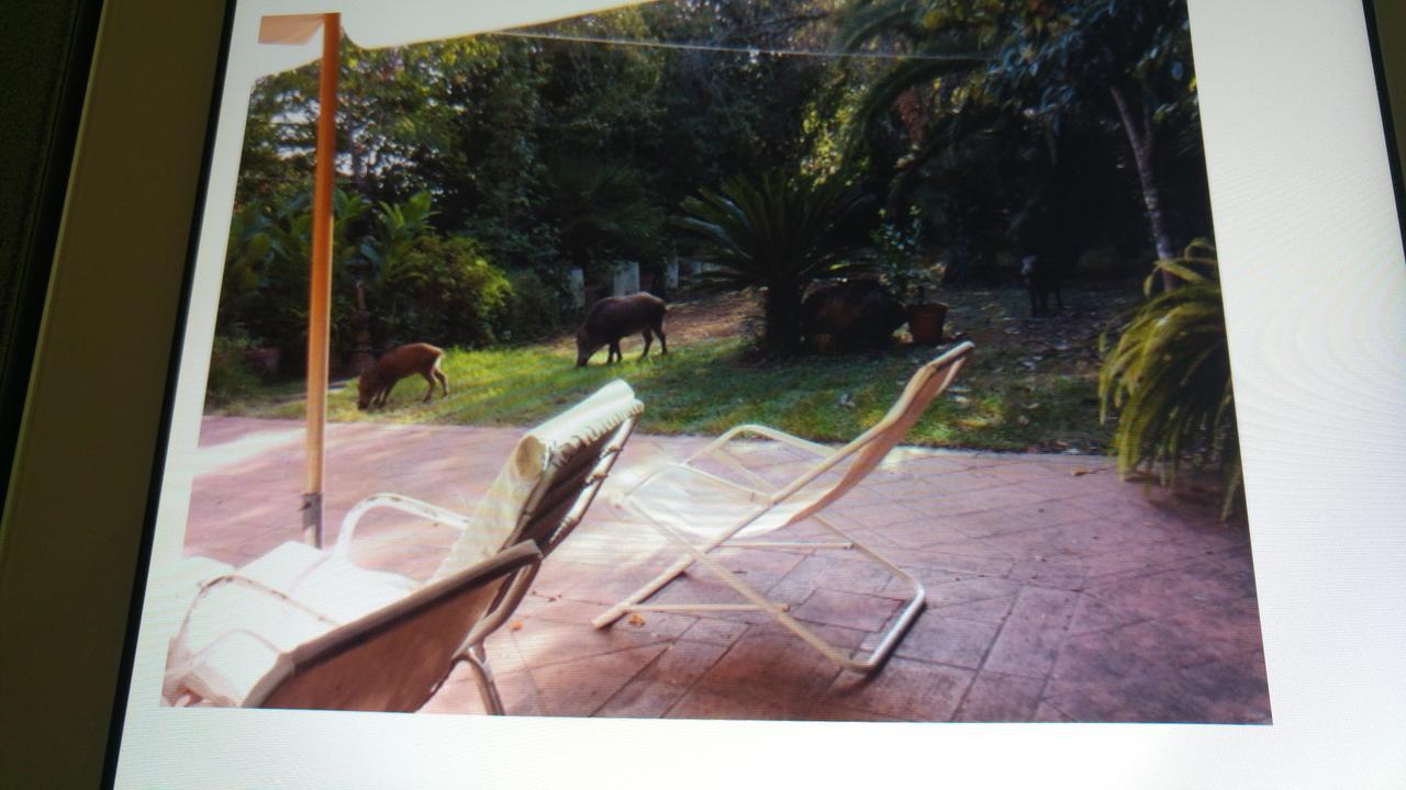 Hotel Giardino Degli Ulivi San Felice Circeo Buitenkant foto